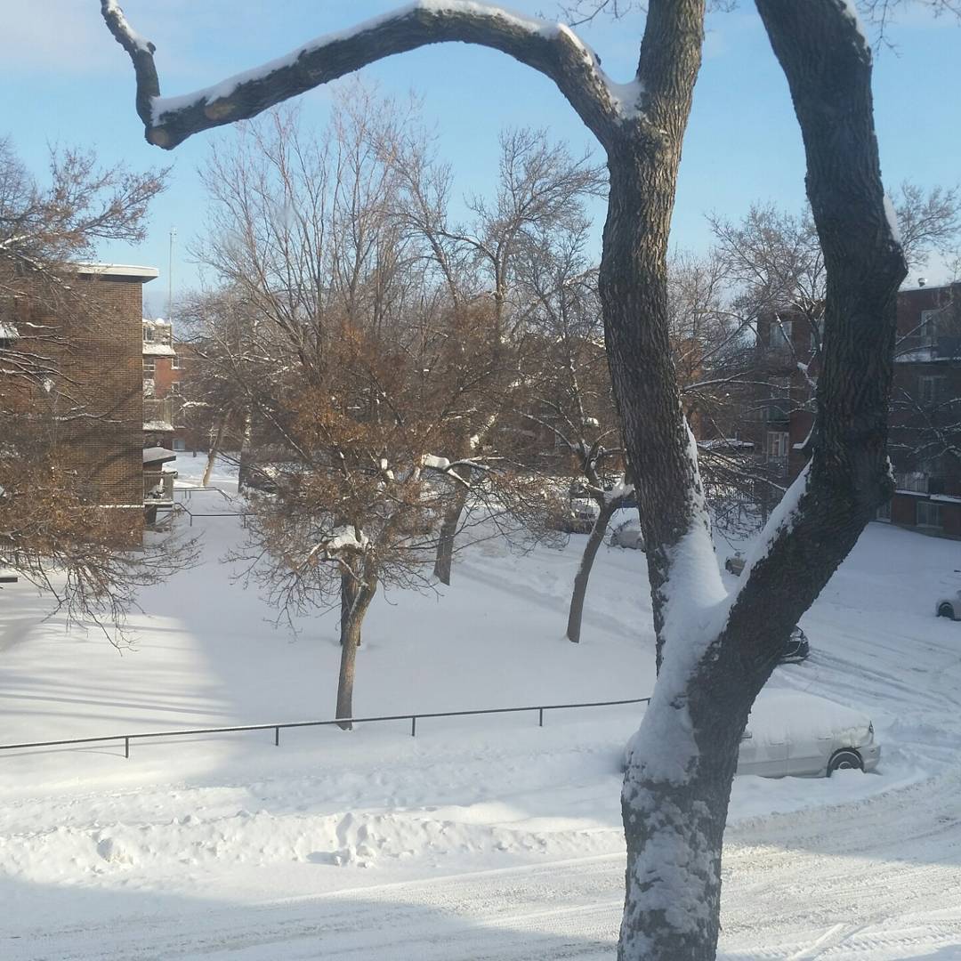 Winter morning view of a Montreal side street