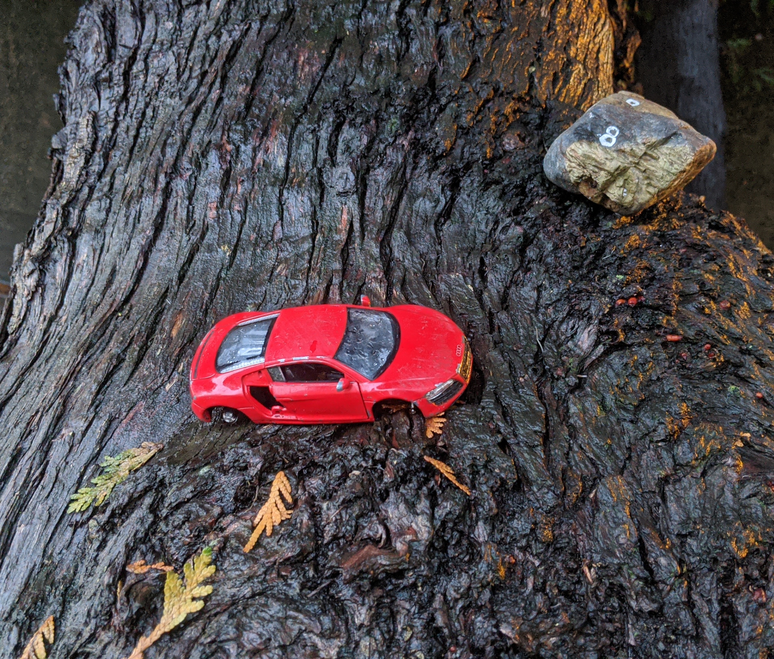little red car, little rock