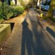 Shadow