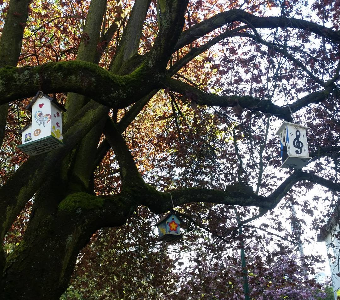 A tree with little decorated birdhouses in it