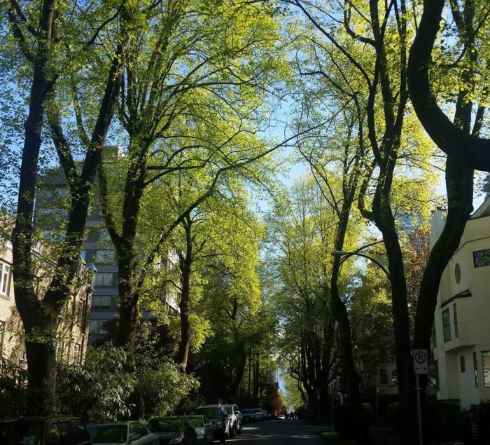 A West End side street under a green canopy and a bit of blue sky