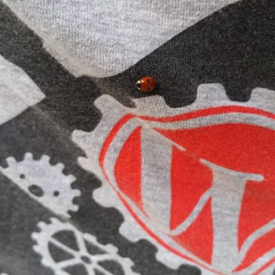 ladybug on a WordPress t-shirt