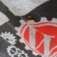 WordPress-loving ladybug