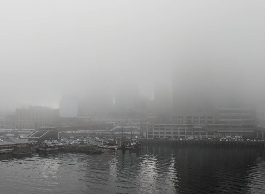 Foggy Coal Harbour