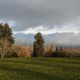 Morning at Jericho, looking north