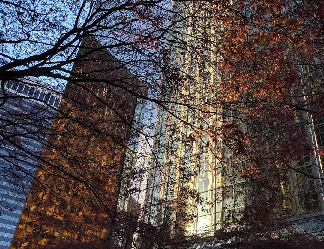 facades and branches