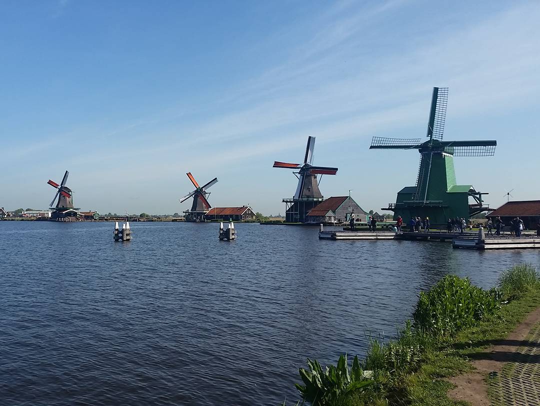 Windmills by a river
