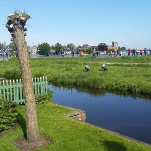 Dutch heritage village