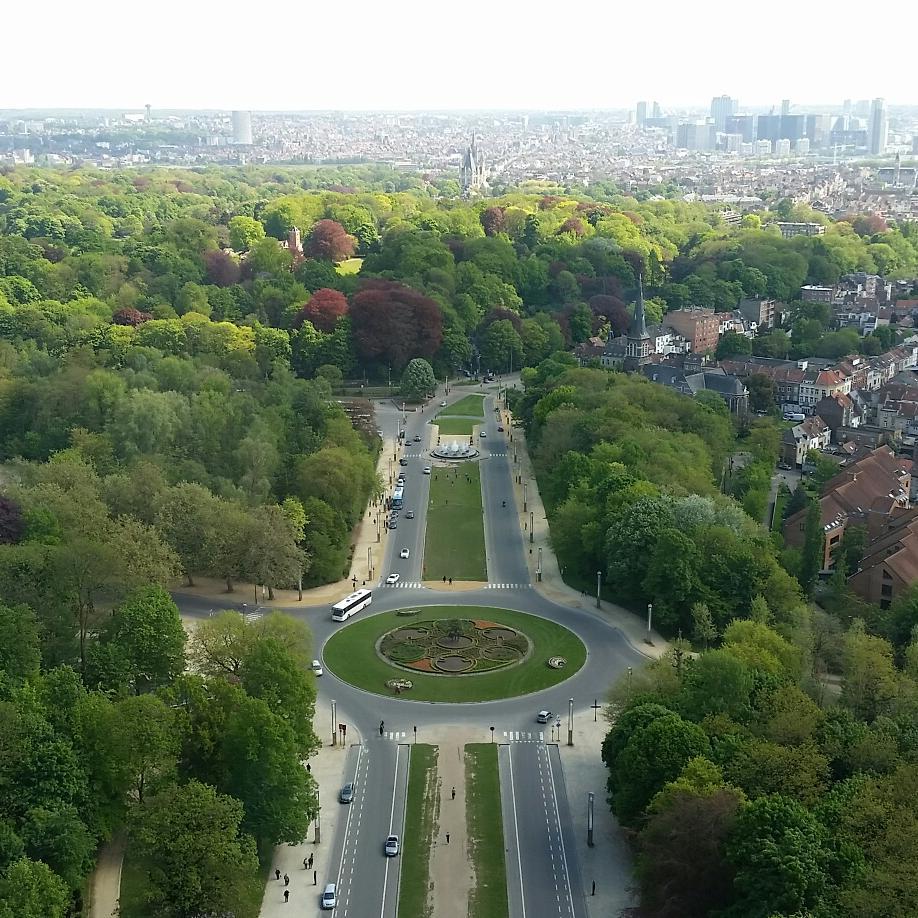 A circular square in a boulevard surrounded by trees