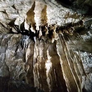 Bizarre stalagtite formations