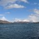 Pining for the fjords