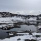 A little pond near Dettifoss