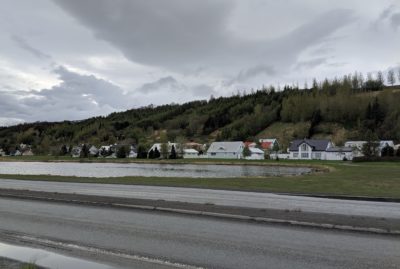 houses by the side of the road