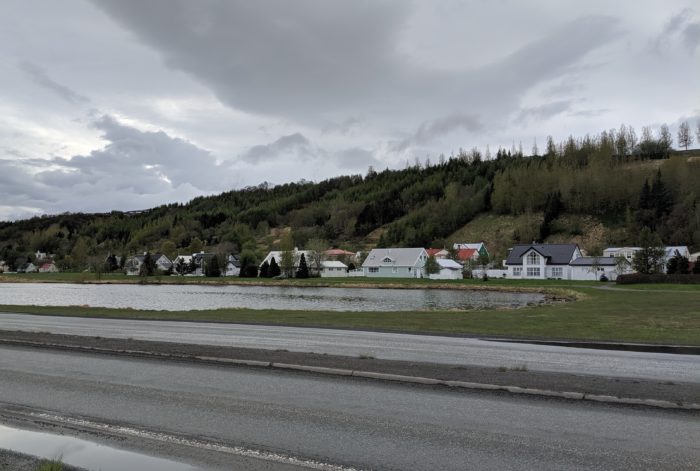 houses by the side of the road