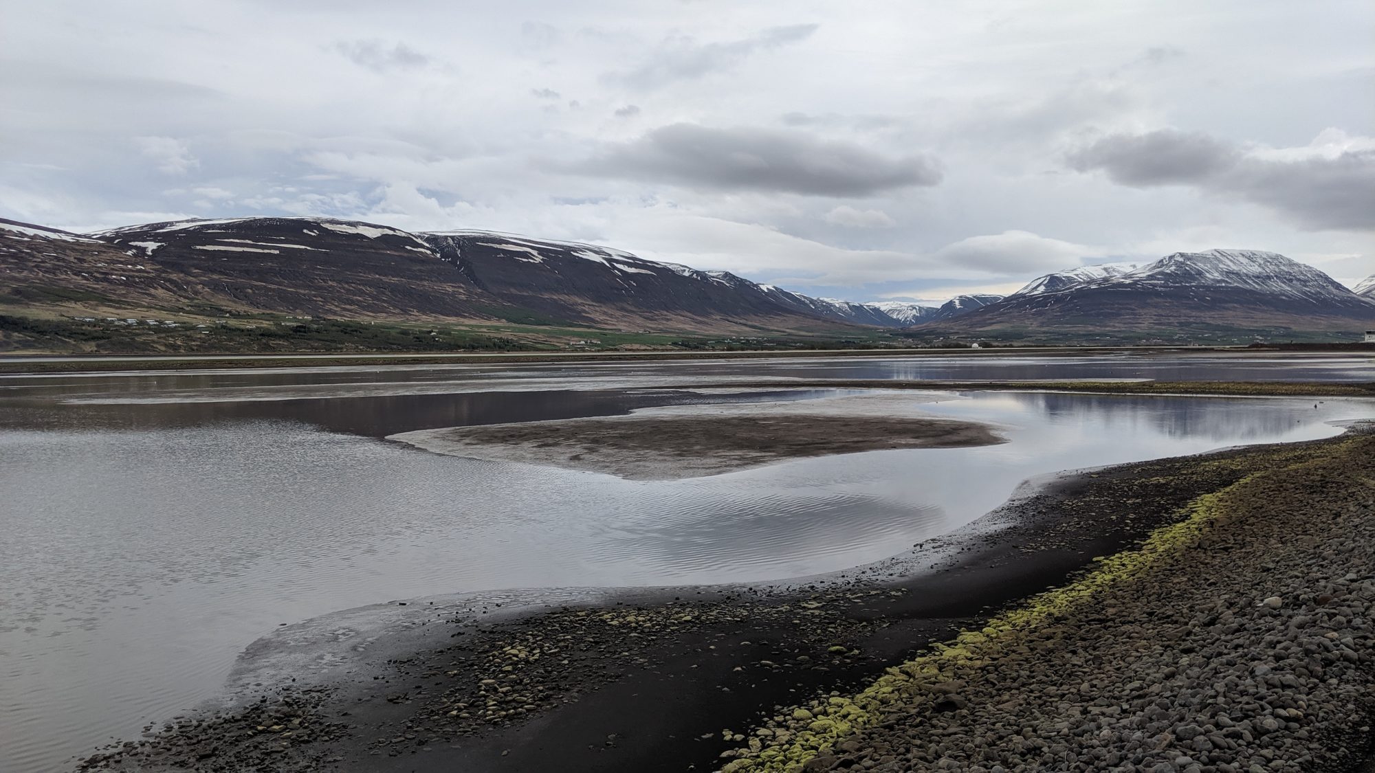 low tide fjord