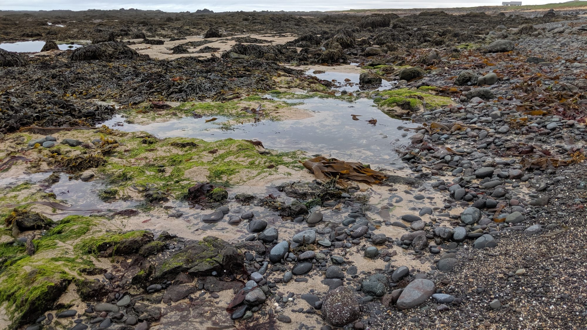 a rocky beach