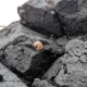 Smol shell