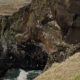 Cliffs and birds