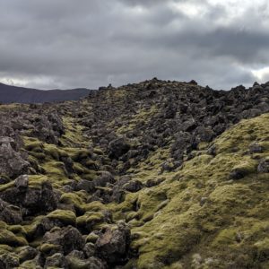 more green lava fields