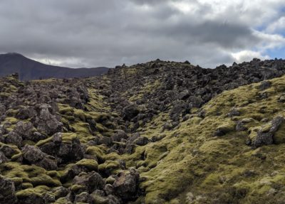 more green lava fields