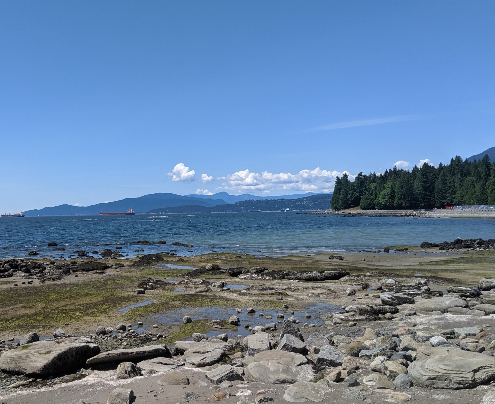 low tide near Third Beach