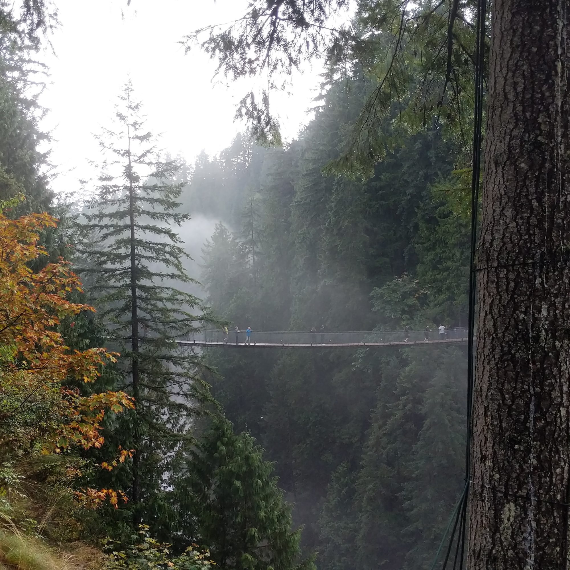 Capilano Suspension Bridge