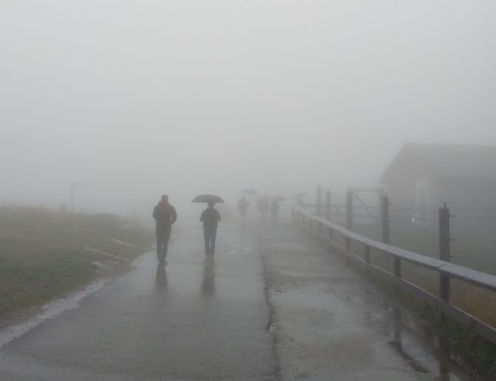 People in the fog