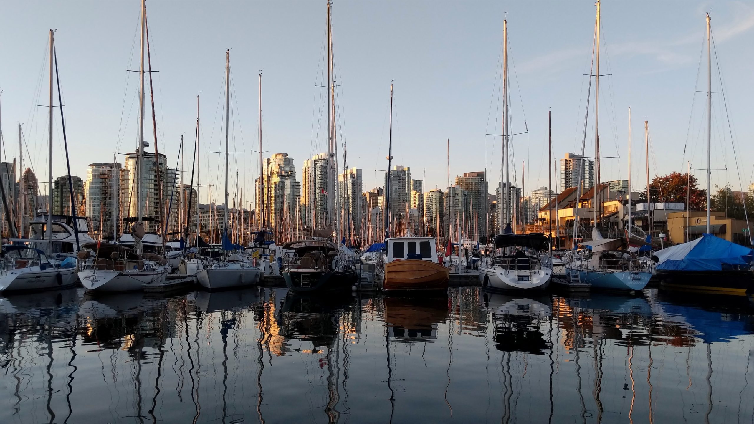 Marina boats in the sunset