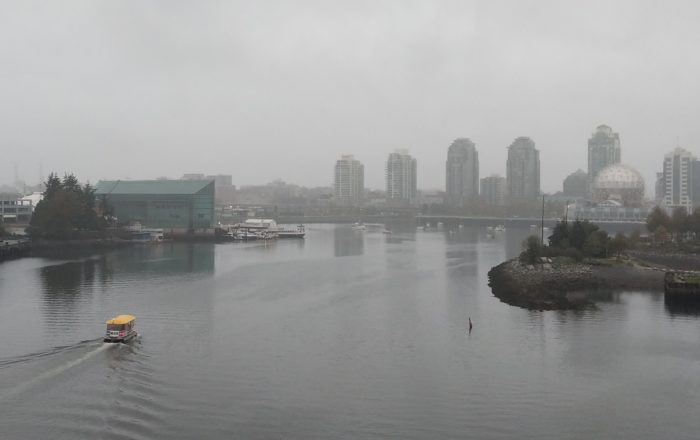 False Creek in the rain