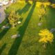 Long shadows