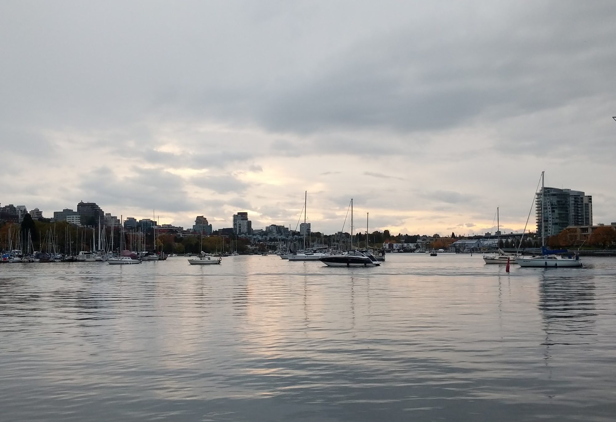 False Creek evening light