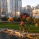 Coopers’ Park morning