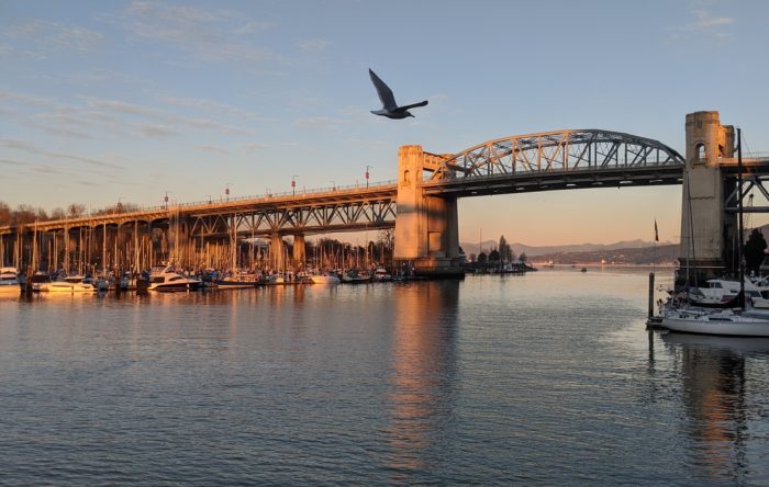 Burrard Bridge and seagull