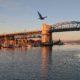 Burrard Bridge and photobomb
