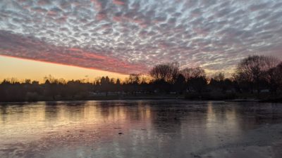 Frozen Trout Lake