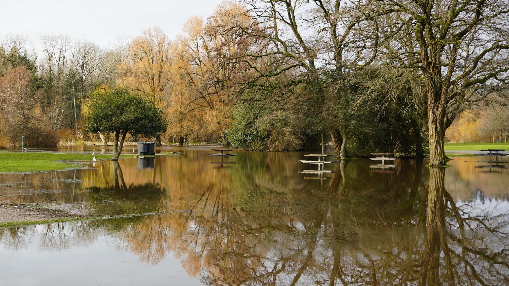 Jericho Park underwater