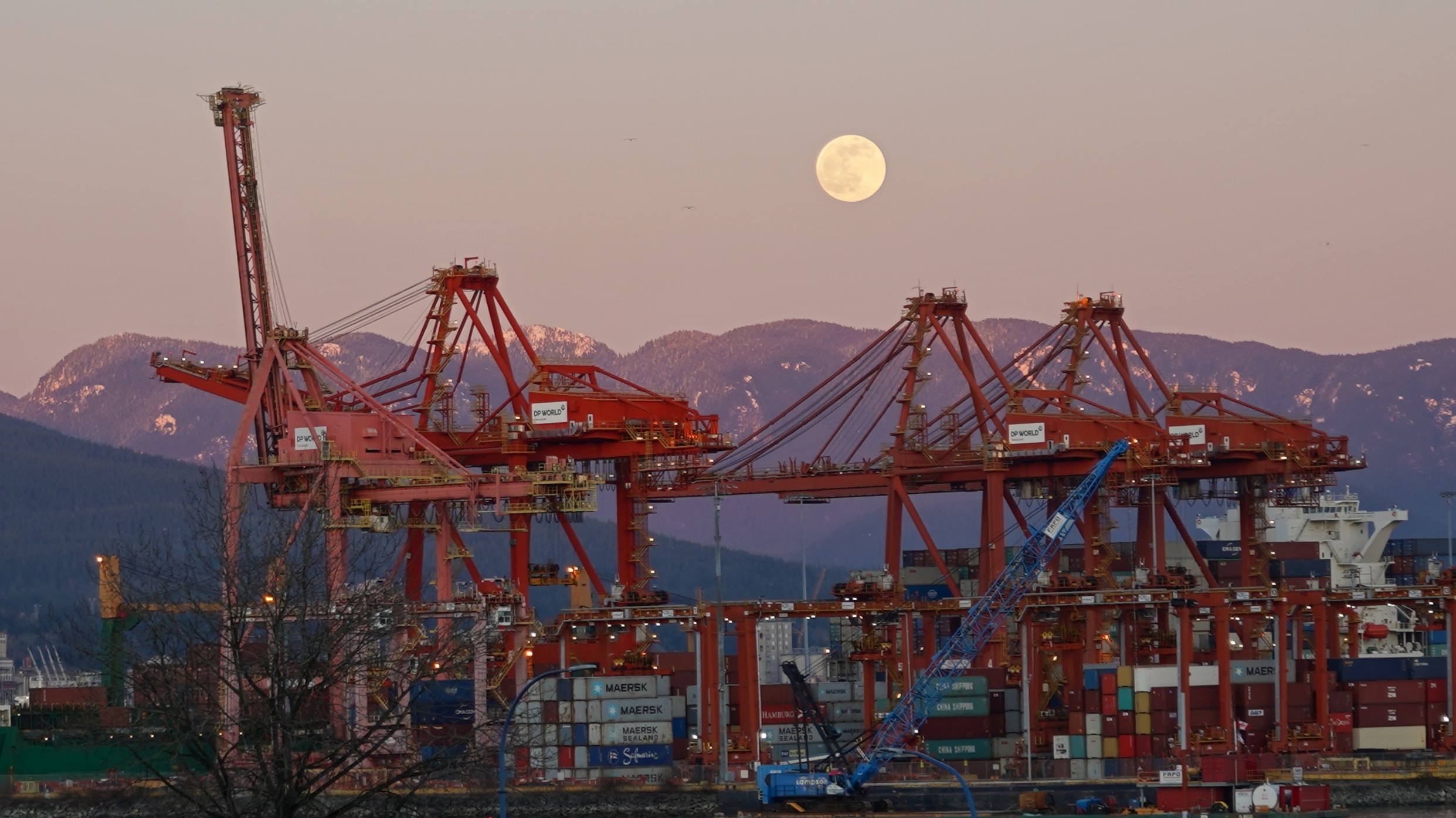 Cranes and full moon