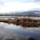 Pitt River