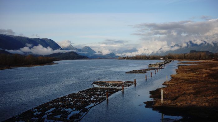Pitt River and logs