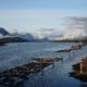 Pitt River logs
