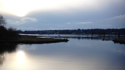 Sun on Pitt River