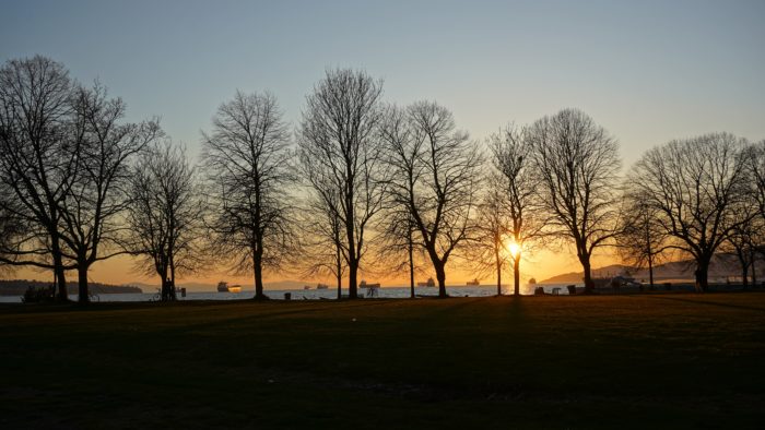 Sunset behind trees on Second Beach