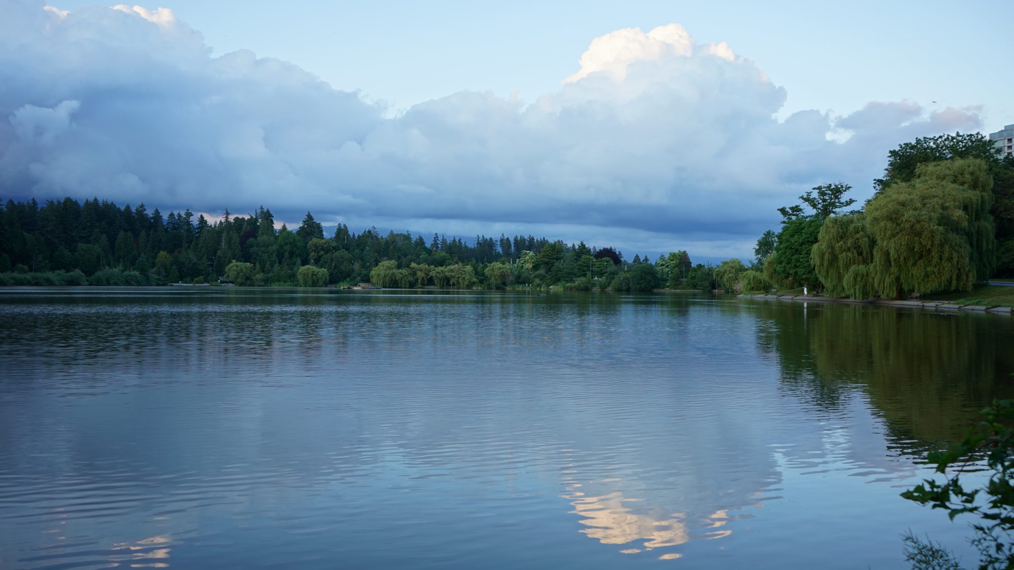 Lost Lagoon blue hour