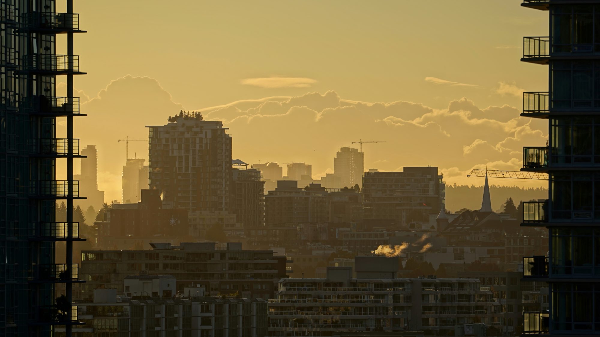 Framed morning gold