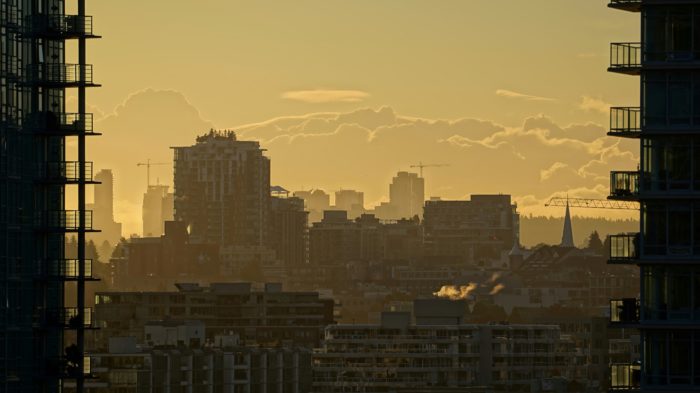 Framed morning gold