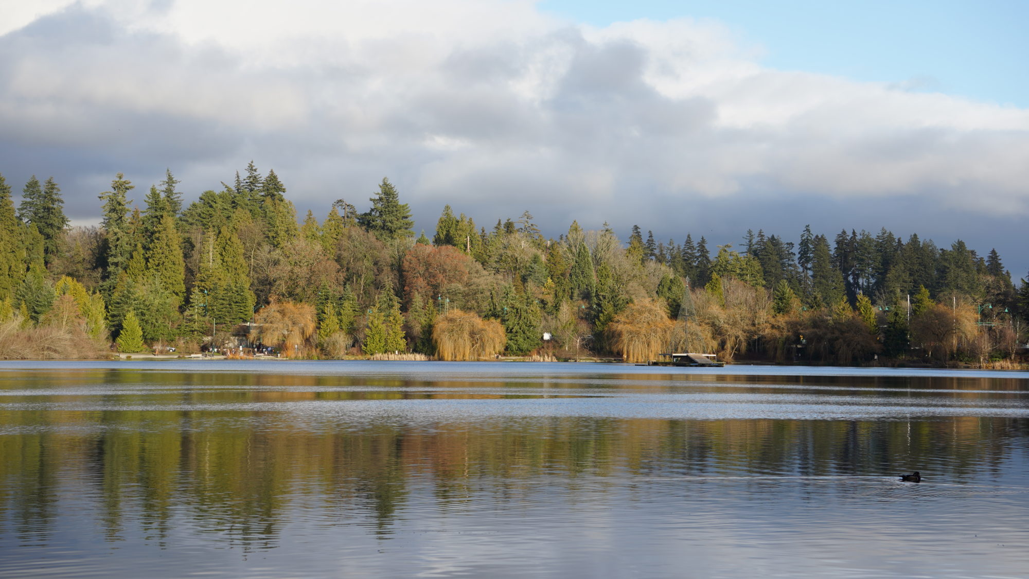 Lost Lagoon