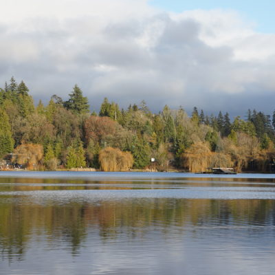 Lost Lagoon