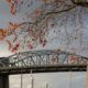 Burrard Bridge, red leaves