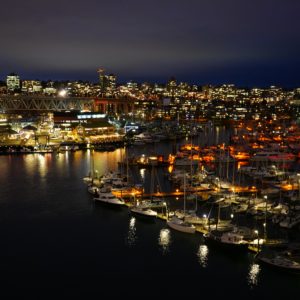False Creek night