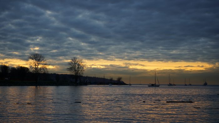 gold sunset light reflected